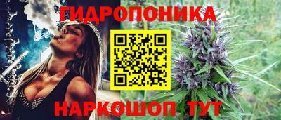 прущие грибы Кулебаки