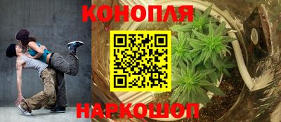 прущие грибы Кулебаки