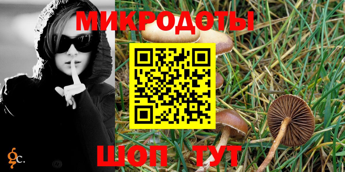 Галлюциногенные грибы Psilocybine cubensis  Вход с VPN  Псилоцибиновые грибы GOLDEN TEACHER  Карталы 
